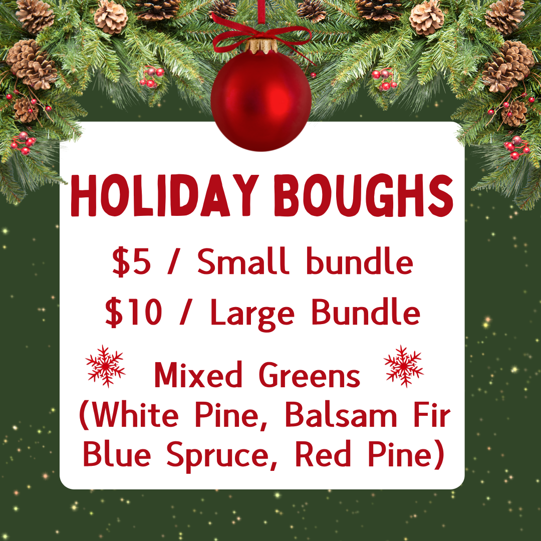 Christmas boughs