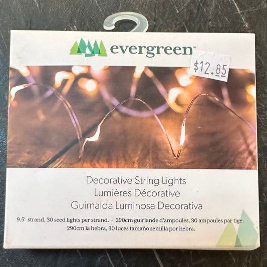 Mini Garden String Lights