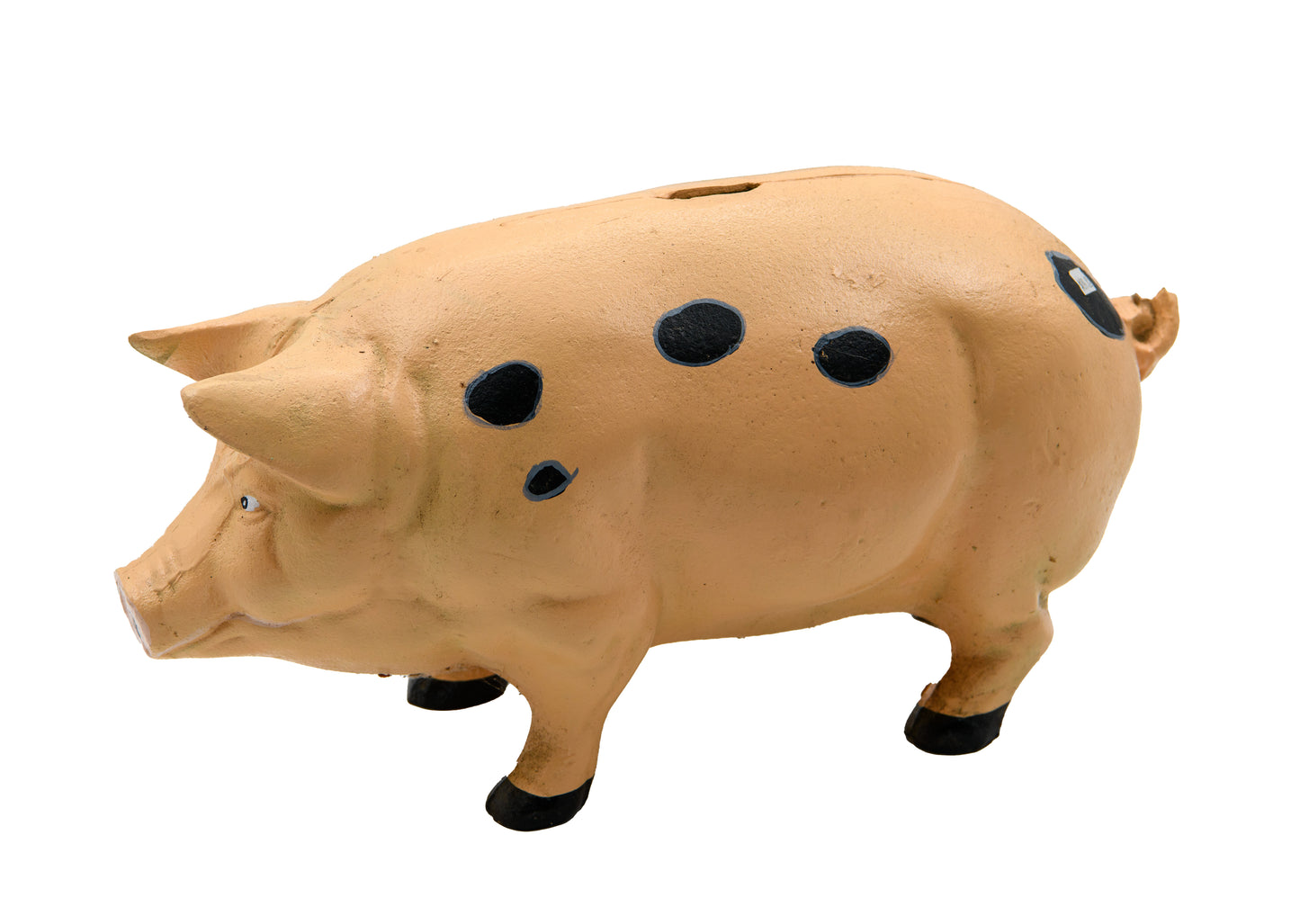 Pig