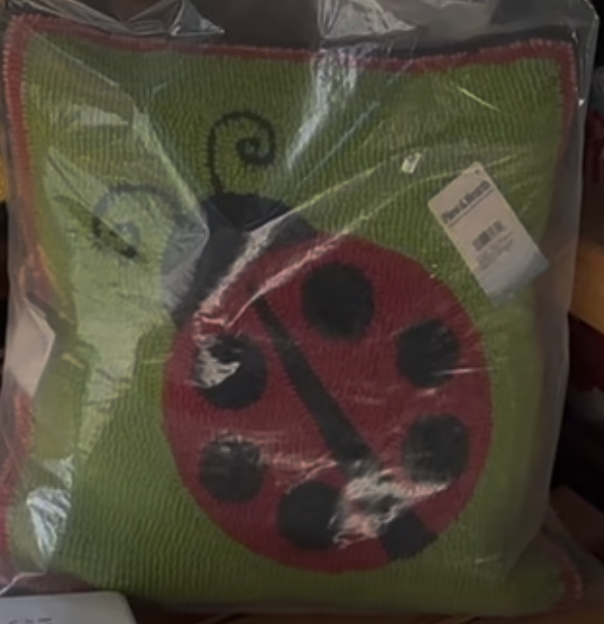 Indoor/Outdoor Ladybug Hooked pillow