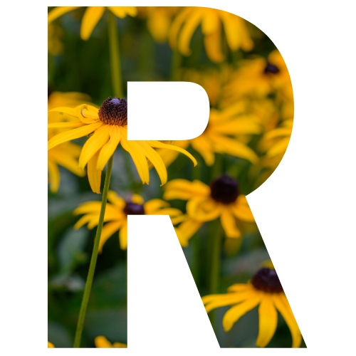 By Letters A to Z – Fieldstone Gardens Inc