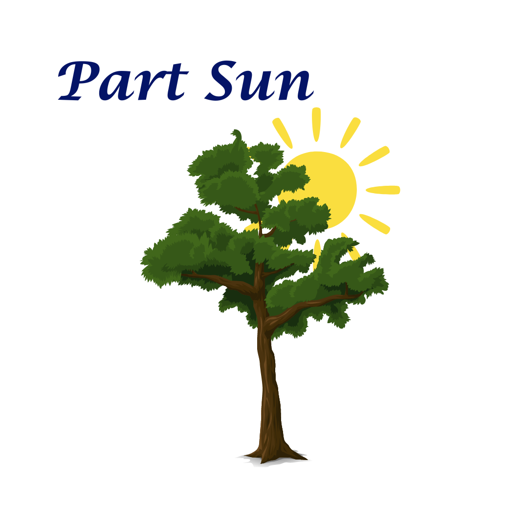 Part Sun