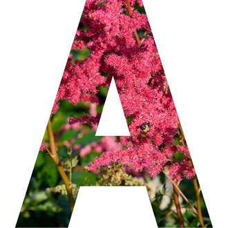 By Letters A to Z – Fieldstone Gardens Inc