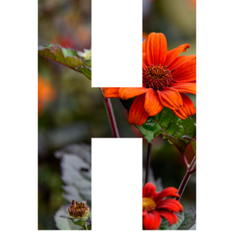 By Letters A to Z – Fieldstone Gardens Inc