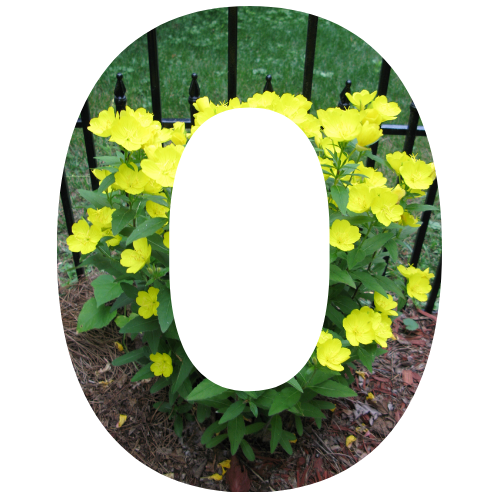 O – Fieldstone Gardens Inc