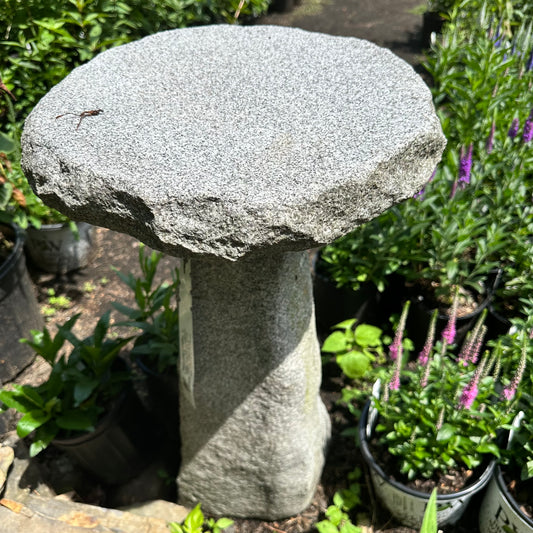 Stone pedastal surrounded by plants and flowers