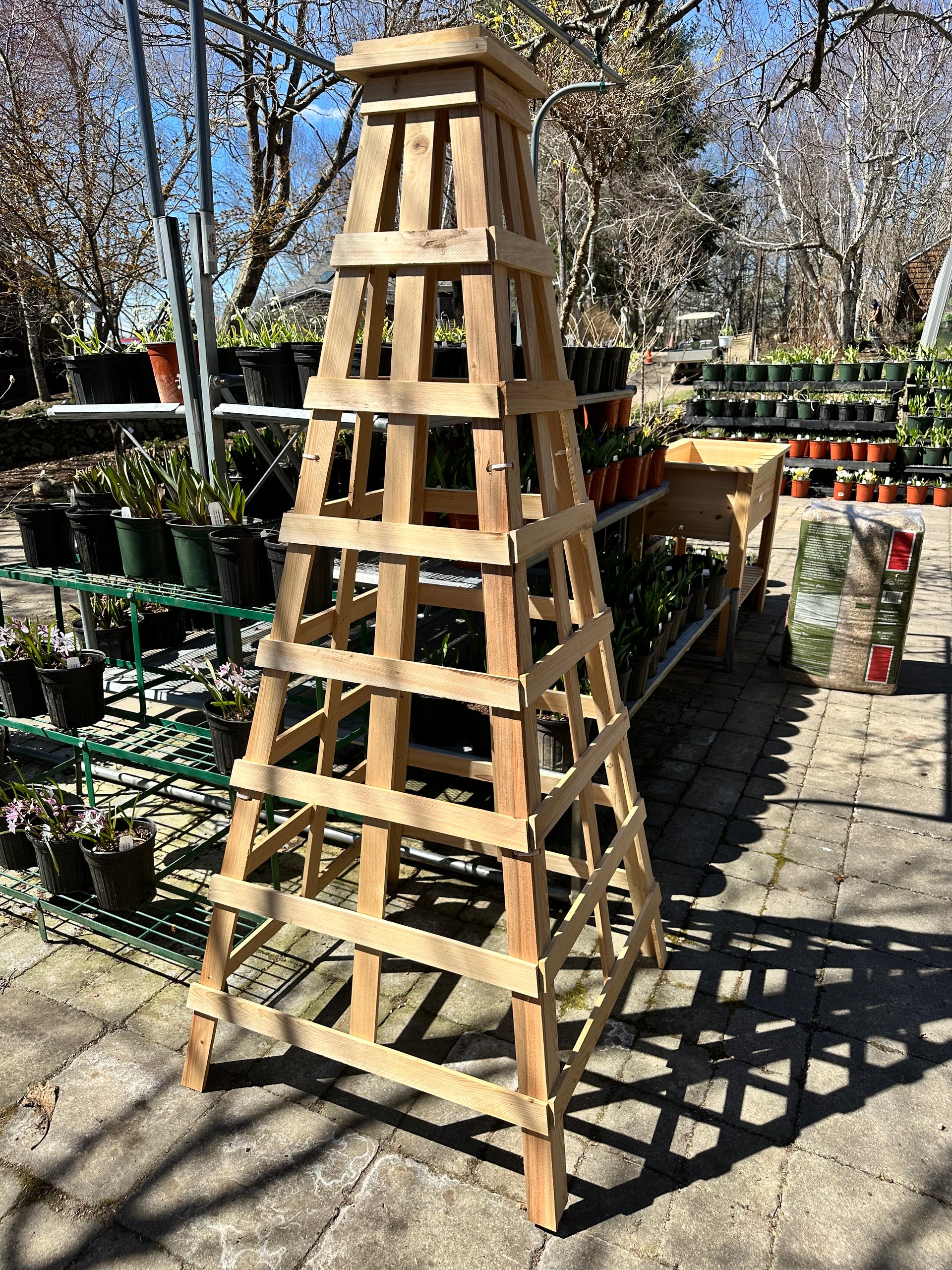 wood pyramid trellis Cypress Wood Pyramid