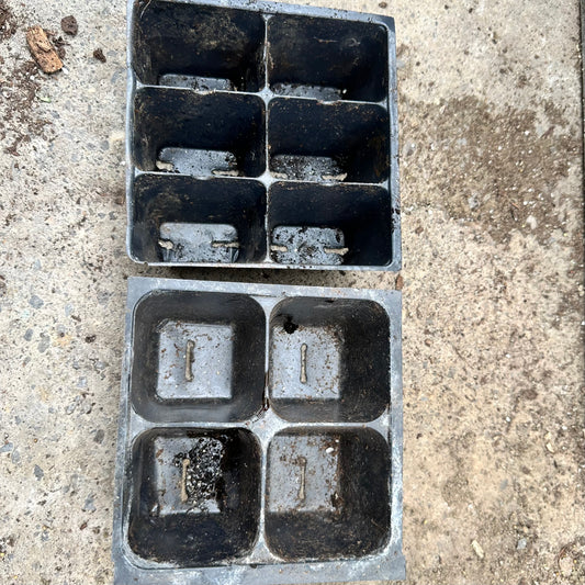 Annuals & Veggie 2/4/6 packs