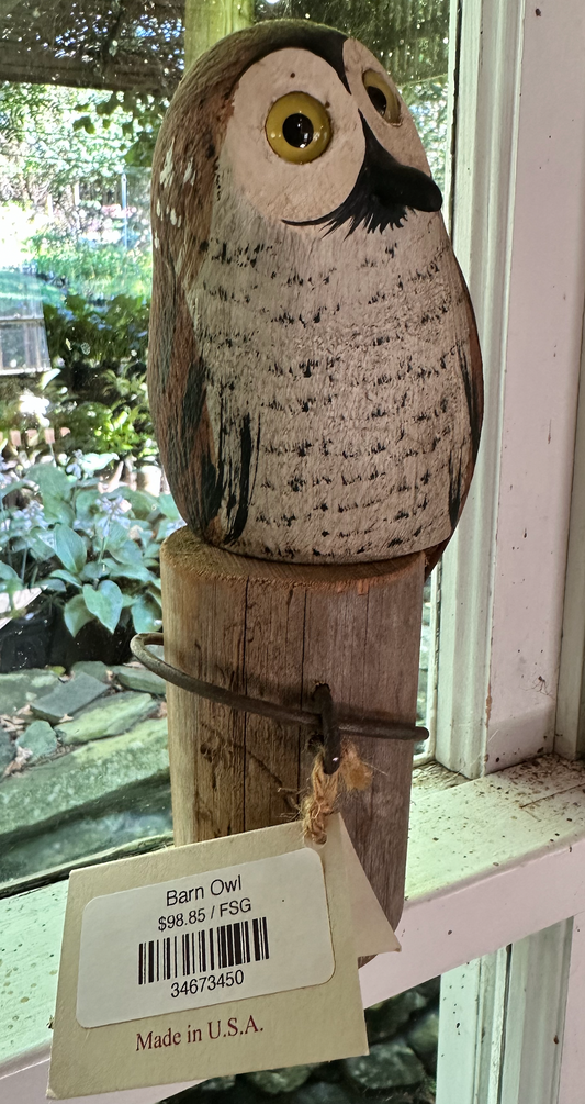 Barn Owl