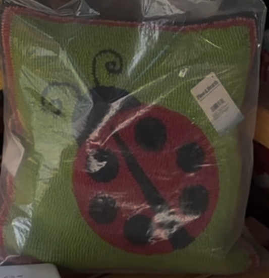 Indoor/Outdoor Ladybug Hooked pillow